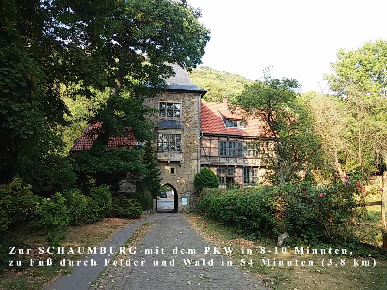 Ferienwohnung Am Ellerbach 黑森奥尔登多夫 外观 照片
